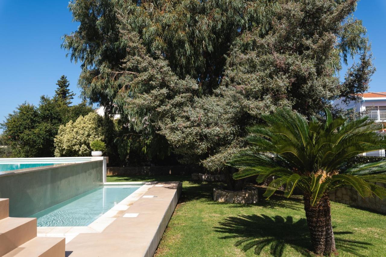 Kounoupidhianá Cedar Tree Villa מראה חיצוני תמונה