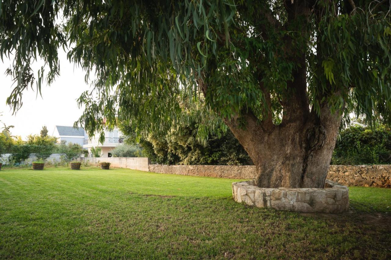Kounoupidhianá Cedar Tree Villa מראה חיצוני תמונה